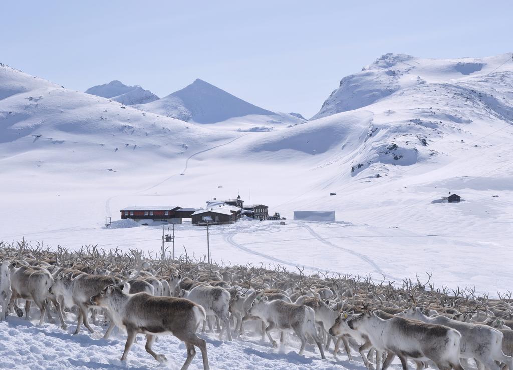 Leirvassbu Fjellstue Hotell Bøverdalen Eksteriør bilde